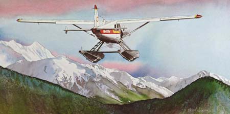 vfr