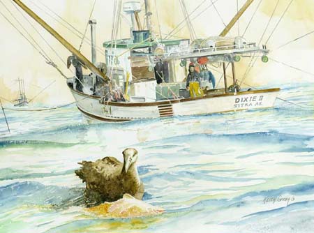 off-the-cape