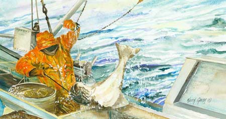 landing halibut