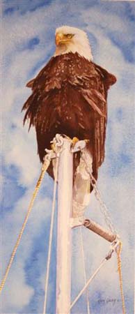 eagle-eye
