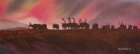 migration