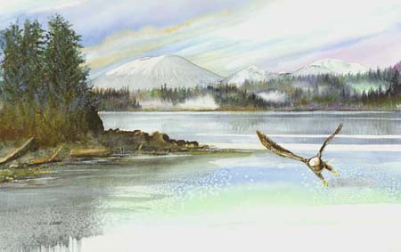 mt-edgecumbe-eagle