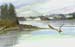 mt-edgecumbe-eagle