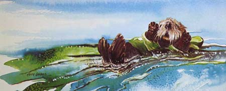 kelp