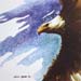 aloft